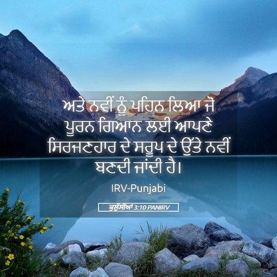 Picture 05 - ਕੁਲੁੱਸੀਆਂ 3:10 PANIRV - ਅਤੇ ਨਵੀਂ ਨੂੰ ਪਹਿਨ - Bible Verse Picture
