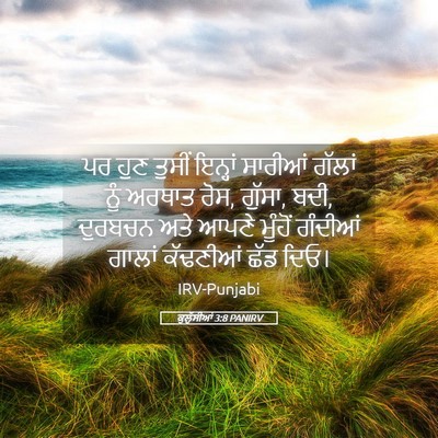 Picture 05 - ਕੁਲੁੱਸੀਆਂ 3:8 PANIRV - ਪਰ ਹੁਣ ਤੁਸੀਂ - Bible Verse Picture