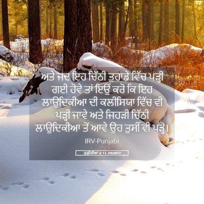 Picture 05 - ਕੁਲੁੱਸੀਆਂ 4:16 PANIRV - ਅਤੇ ਜਦ ਇਹ ਚਿੱਠੀ - Bible Verse Picture