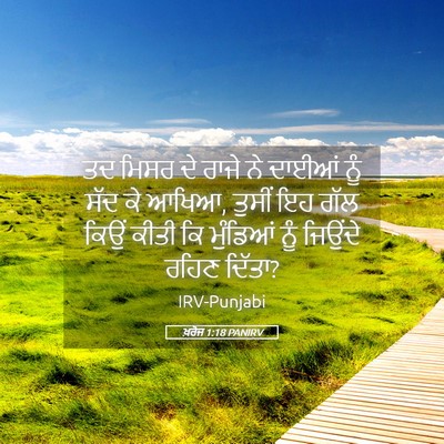 Picture 05 - ਖ਼ਰੋਜ 1:18 PANIRV - ਤਦ ਮਿਸਰ ਦੇ ਰਾਜੇ ਨੇ - Bible Verse Picture