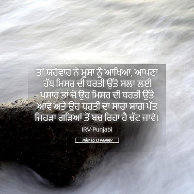 Picture 05 - ਖ਼ਰੋਜ 10:12 PANIRV - ਤਾਂ ਯਹੋਵਾਹ ਨੇ ਮੂਸਾ - Bible Verse Picture