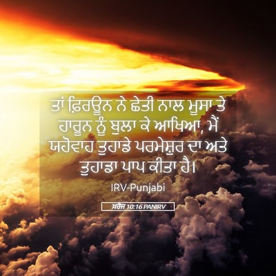 Picture 05 - ਖ਼ਰੋਜ 10:16 PANIRV - ਤਾਂ ਫ਼ਿਰਊਨ ਨੇ ਛੇਤੀ - Bible Verse Picture
