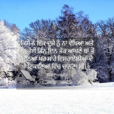 Picture 05 - ਖ਼ਰੋਜ 10:23 PANIRV - ਕਿਸੇ ਨੇ ਇੱਕ ਦੂਜੇ - Bible Verse Picture