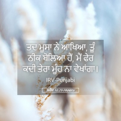 Picture 05 - ਖ਼ਰੋਜ 10:29 PANIRV - ਤਦ ਮੂਸਾ ਨੇ ਆਖਿਆ, - Bible Verse Picture