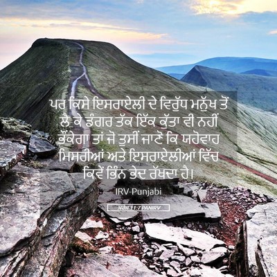Picture 05 - ਖ਼ਰੋਜ 11:7 PANIRV - ਪਰ ਕਿਸੇ ਇਸਰਾਏਲੀ ਦੇ - Bible Verse Picture