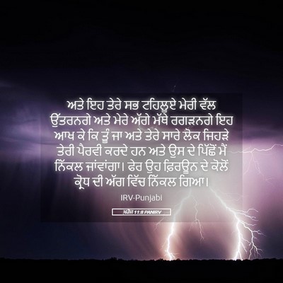 Picture 05 - ਖ਼ਰੋਜ 11:8 PANIRV - ਅਤੇ ਇਹ ਤੇਰੇ ਸਭ - Bible Verse Picture