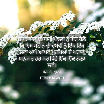 Picture 05 - ਖ਼ਰੋਜ 12:3 PANIRV - ਇਸਰਾਏਲ ਦੀ ਸਾਰੀ - Bible Verse Picture