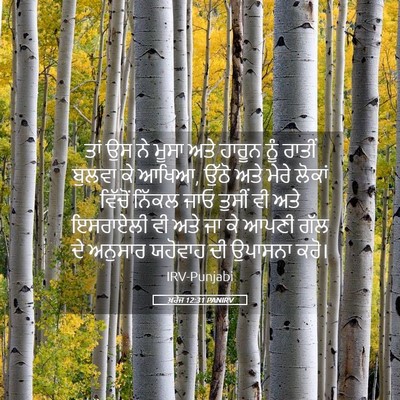 Picture 05 - ਖ਼ਰੋਜ 12:31 PANIRV - ਤਾਂ ਉਸ ਨੇ ਮੂਸਾ ਅਤੇ - Bible Verse Picture