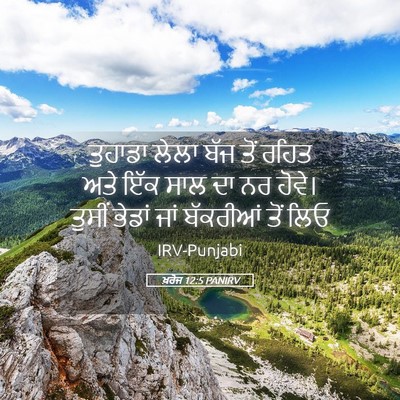 Picture 05 - ਖ਼ਰੋਜ 12:5 PANIRV - ਤੁਹਾਡਾ ਲੇਲਾ ਬੱਜ - Bible Verse Picture