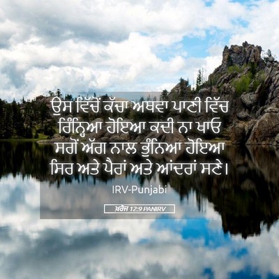 Picture 05 - ਖ਼ਰੋਜ 12:9 PANIRV - ਉਸ ਵਿੱਚੋਂ ਕੱਚਾ - Bible Verse Picture
