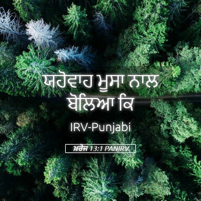 Picture 05 - ਖ਼ਰੋਜ 13:1 PANIRV - ਯਹੋਵਾਹ ਮੂਸਾ ਨਾਲ - Bible Verse Picture