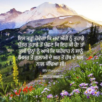 Picture 05 - ਖ਼ਰੋਜ 13:14 PANIRV - ਇਸ ਤਰ੍ਹਾਂ ਹੋਵੇਗਾ - Bible Verse Picture