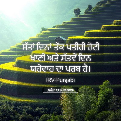 Picture 05 - ਖ਼ਰੋਜ 13:6 PANIRV - ਸੱਤਾਂ ਦਿਨਾਂ ਤੱਕ - Bible Verse Picture