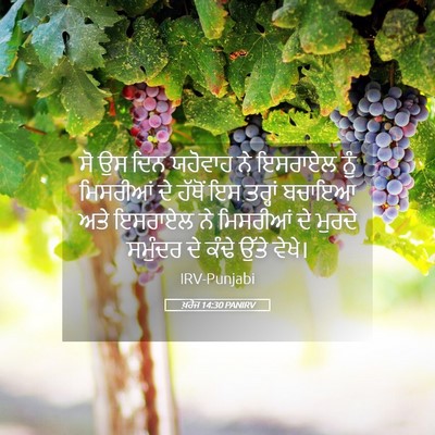 Picture 05 - ਖ਼ਰੋਜ 14:30 PANIRV - ਸੋ ਉਸ ਦਿਨ ਯਹੋਵਾਹ ਨੇ - Bible Verse Picture