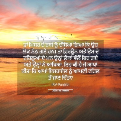 Picture 05 - ਖ਼ਰੋਜ 14:5 PANIRV - ਤਾਂ ਮਿਸਰ ਦੇ ਰਾਜੇ - Bible Verse Picture