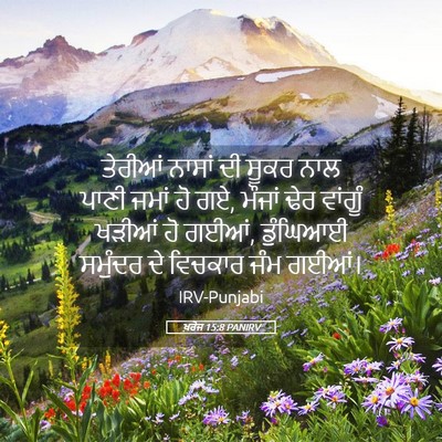 Picture 05 - ਖ਼ਰੋਜ 15:8 PANIRV - ਤੇਰੀਆਂ ਨਾਸਾਂ ਦੀ - Bible Verse Picture