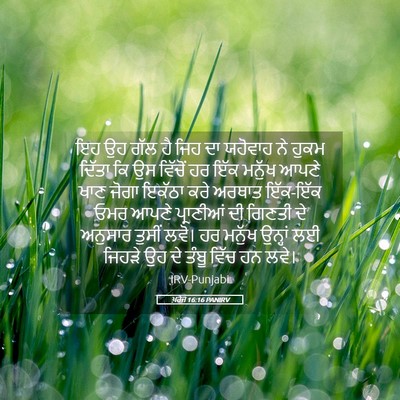 Picture 05 - ਖ਼ਰੋਜ 16:16 PANIRV - ਇਹ ਉਹ ਗੱਲ ਹੈ ਜਿਹ ਦਾ - Bible Verse Picture