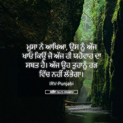 Picture 05 - ਖ਼ਰੋਜ 16:25 PANIRV - ਮੂਸਾ ਨੇ ਆਖਿਆ, ਉਸ - Bible Verse Picture