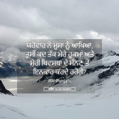 Picture 05 - ਖ਼ਰੋਜ 16:28 PANIRV - ਯਹੋਵਾਹ ਨੇ ਮੂਸਾ ਨੂੰ - Bible Verse Picture