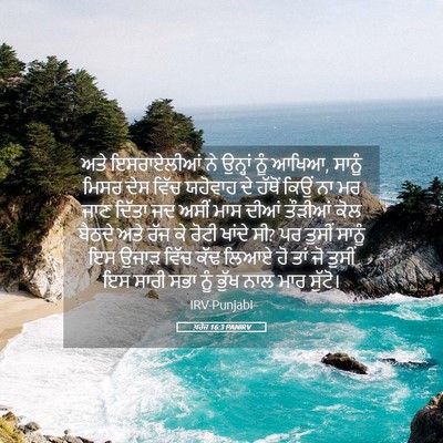 Picture 05 - ਖ਼ਰੋਜ 16:3 PANIRV - ਅਤੇ ਇਸਰਾਏਲੀਆਂ ਨੇ - Bible Verse Picture