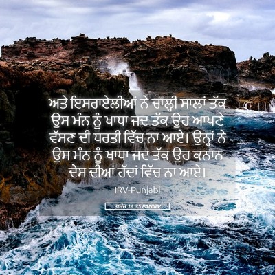 Picture 05 - ਖ਼ਰੋਜ 16:35 PANIRV - ਅਤੇ ਇਸਰਾਏਲੀਆਂ ਨੇ - Bible Verse Picture