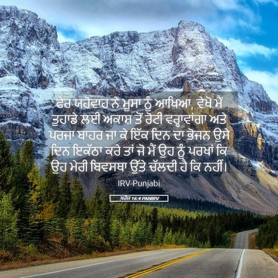 Picture 05 - ਖ਼ਰੋਜ 16:4 PANIRV - ਫੇਰ ਯਹੋਵਾਹ ਨੇ ਮੂਸਾ - Bible Verse Picture