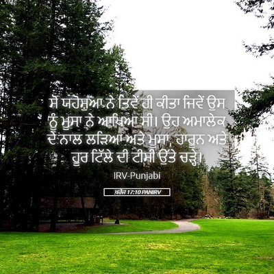 Picture 05 - ਖ਼ਰੋਜ 17:10 PANIRV - ਸੋ ਯਹੋਸ਼ੁਆ ਨੇ - Bible Verse Picture