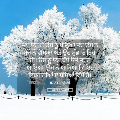 Picture 05 - ਖ਼ਰੋਜ 2:6 PANIRV - ਜਦ ਉਸ ਨੇ ਉਸ ਨੂੰ - Bible Verse Picture
