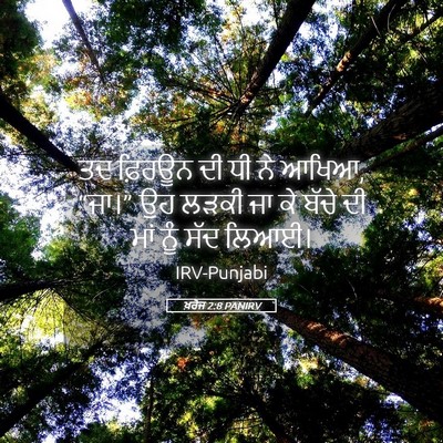Picture 05 - ਖ਼ਰੋਜ 2:8 PANIRV - ਤਦ ਫ਼ਿਰਊਨ ਦੀ ਧੀ ਨੇ - Bible Verse Picture