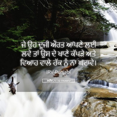 Picture 05 - ਖ਼ਰੋਜ 21:10 PANIRV - ਜੇ ਉਹ ਦੂਜੀ ਔਰਤ ਆਪਣੇ - Bible Verse Picture