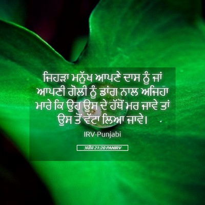Picture 05 - ਖ਼ਰੋਜ 21:20 PANIRV - ਜਿਹੜਾ ਮਨੁੱਖ ਆਪਣੇ - Bible Verse Picture