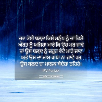 Picture 05 - ਖ਼ਰੋਜ 21:28 PANIRV - ਜਦ ਕੋਈ ਬਲ਼ਦ ਕਿਸੇ - Bible Verse Picture