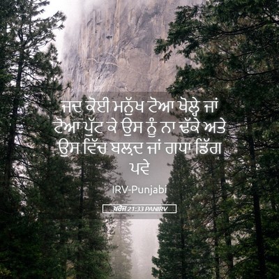 Picture 05 - ਖ਼ਰੋਜ 21:33 PANIRV - ਜਦ ਕੋਈ ਮਨੁੱਖ ਟੋਆ - Bible Verse Picture