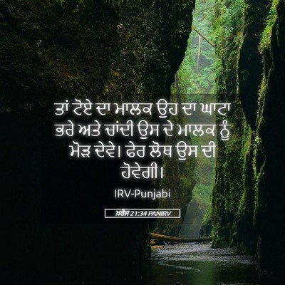 Picture 05 - ਖ਼ਰੋਜ 21:34 PANIRV - ਤਾਂ ਟੋਏ ਦਾ ਮਾਲਕ ਉਹ - Bible Verse Picture