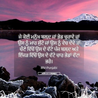 Picture 05 - ਖ਼ਰੋਜ 22:1 PANIRV - ਜੇ ਕੋਈ ਮਨੁੱਖ ਬਲ਼ਦ - Bible Verse Picture