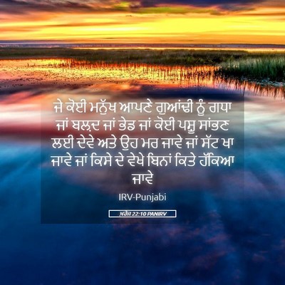 Picture 05 - ਖ਼ਰੋਜ 22:10 PANIRV - ਜੇ ਕੋਈ ਮਨੁੱਖ ਆਪਣੇ - Bible Verse Picture