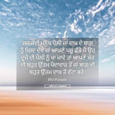 Picture 05 - ਖ਼ਰੋਜ 22:5 PANIRV - ਜਦ ਕੋਈ ਮਨੁੱਖ ਪੈਲੀ - Bible Verse Picture