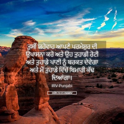 Picture 05 - ਖ਼ਰੋਜ 23:25 PANIRV - ਤੁਸੀਂ ਯਹੋਵਾਹ ਆਪਣੇ - Bible Verse Picture
