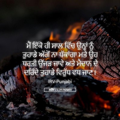 Picture 05 - ਖ਼ਰੋਜ 23:29 PANIRV - ਮੈਂ ਇੱਕੋ ਹੀ ਸਾਲ - Bible Verse Picture