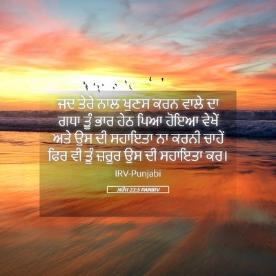 Picture 05 - ਖ਼ਰੋਜ 23:5 PANIRV - ਜਦ ਤੇਰੇ ਨਾਲ ਖੁਣਸ - Bible Verse Picture