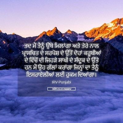 Picture 05 - ਖ਼ਰੋਜ 25:22 PANIRV - ਤਦ ਮੈਂ ਤੈਨੂੰ ਉੱਥੇ - Bible Verse Picture