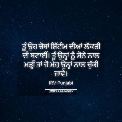 Picture 05 - ਖ਼ਰੋਜ 25:28 PANIRV - ਤੂੰ ਉਹ ਚੋਬਾਂ - Bible Verse Picture