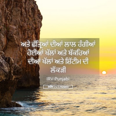 Picture 05 - ਖ਼ਰੋਜ 25:5 PANIRV - ਅਤੇ ਛੱਤ੍ਰਿਆਂ ਦੀਆਂ - Bible Verse Picture