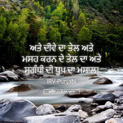 Picture 05 - ਖ਼ਰੋਜ 25:6 PANIRV - ਅਤੇ ਦੀਵੇ ਦਾ ਤੇਲ ਅਤੇ - Bible Verse Picture