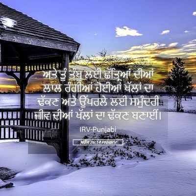 Picture 05 - ਖ਼ਰੋਜ 26:14 PANIRV - ਅਤੇ ਤੂੰ ਤੰਬੂ ਲਈ - Bible Verse Picture