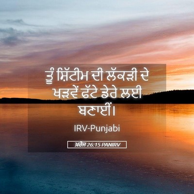 Picture 05 - ਖ਼ਰੋਜ 26:15 PANIRV - ਤੂੰ ਸ਼ਿੱਟੀਮ ਦੀ - Bible Verse Picture