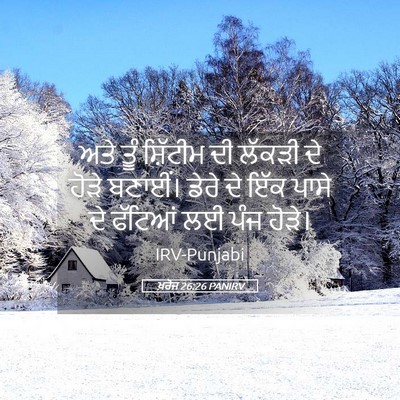 Picture 05 - ਖ਼ਰੋਜ 26:26 PANIRV - ਅਤੇ ਤੂੰ ਸ਼ਿੱਟੀਮ ਦੀ - Bible Verse Picture