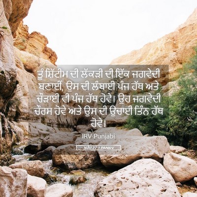Picture 05 - ਖ਼ਰੋਜ 27:1 PANIRV - ਤੂੰ ਸ਼ਿੱਟੀਮ ਦੀ - Bible Verse Picture