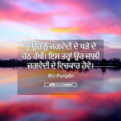 Picture 05 - ਖ਼ਰੋਜ 27:5 PANIRV - ਤੂੰ ਉਹ ਨੂੰ ਜਗਵੇਦੀ - Bible Verse Picture