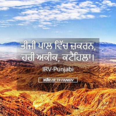 Picture 05 - ਖ਼ਰੋਜ 28:19 PANIRV - ਤੀਜੀ ਪਾਲ ਵਿੱਚ - Bible Verse Picture